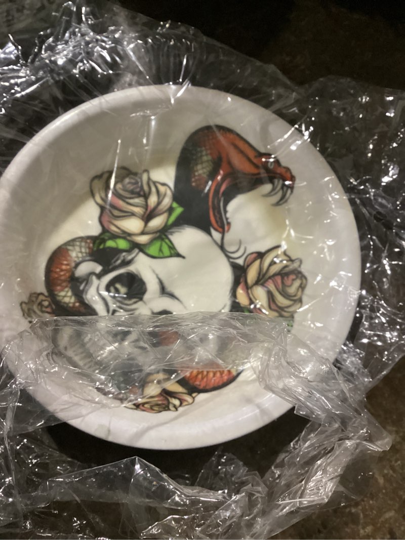 Small komodo bowl skull