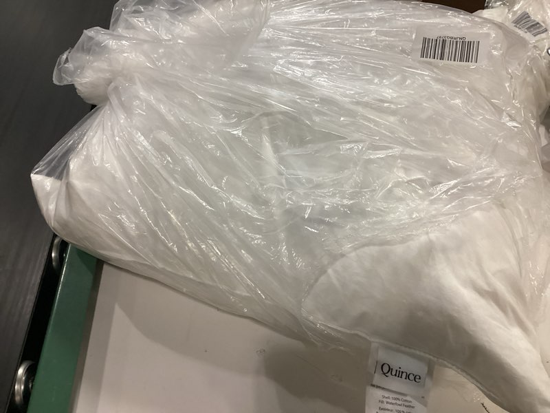 Condition photo showing Good Condition for quince premium feather pillow insert 20”x20” 