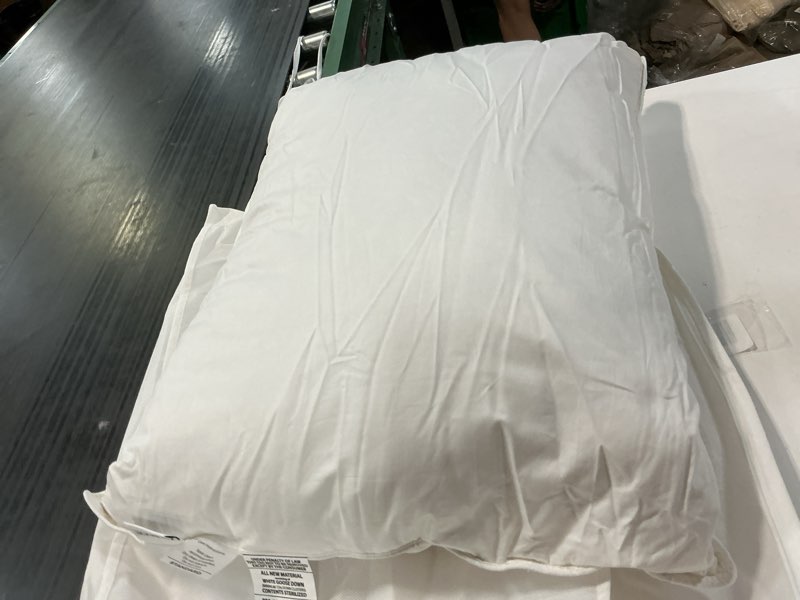 Condition photo showing As Is for quin goose  pillow medium  std 