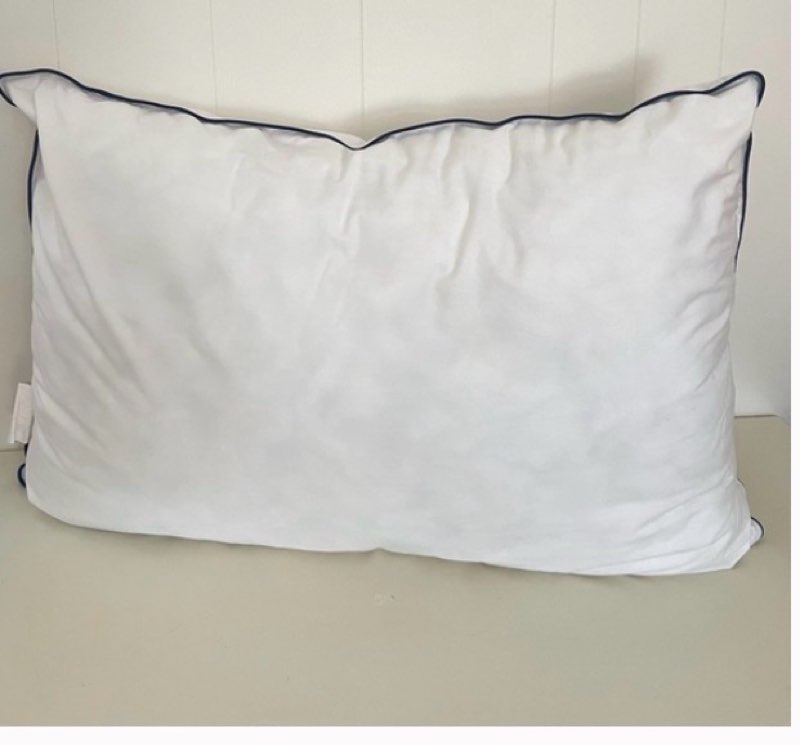 Updated Dec 25 Helix 20” x 28” Pillow