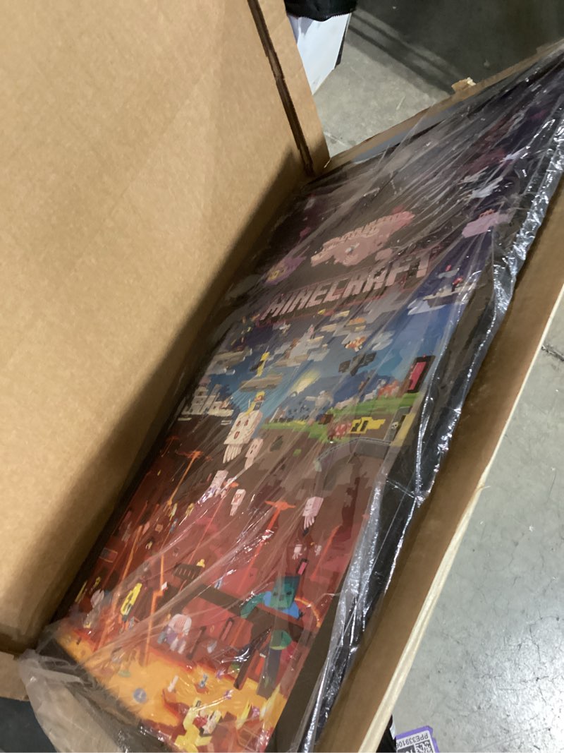 Condition photo showing Good Condition for Trends International Minecraft - World Beyond Wall Poster, 22.375" x 34", Black Framed Version