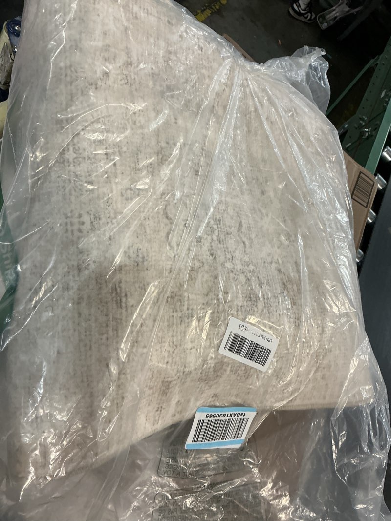 Condition photo showing Good Condition for DCX 5x7 Beige Rug, Kid & Pet Friendly with Rubber Back Non Slip, Machine Washable Stain Resistant Neutral Floral Rug for Living Room, Bedroom, Home Office, Soft Low Pile Large Nursery Carpet 5' x 7' (Rectangular) Warm Beige