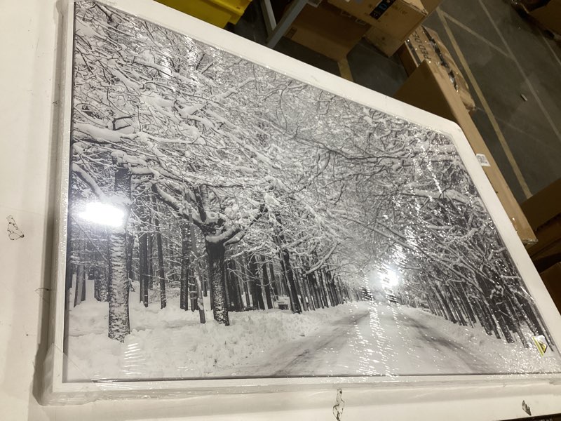 Winter Trees Wall Art