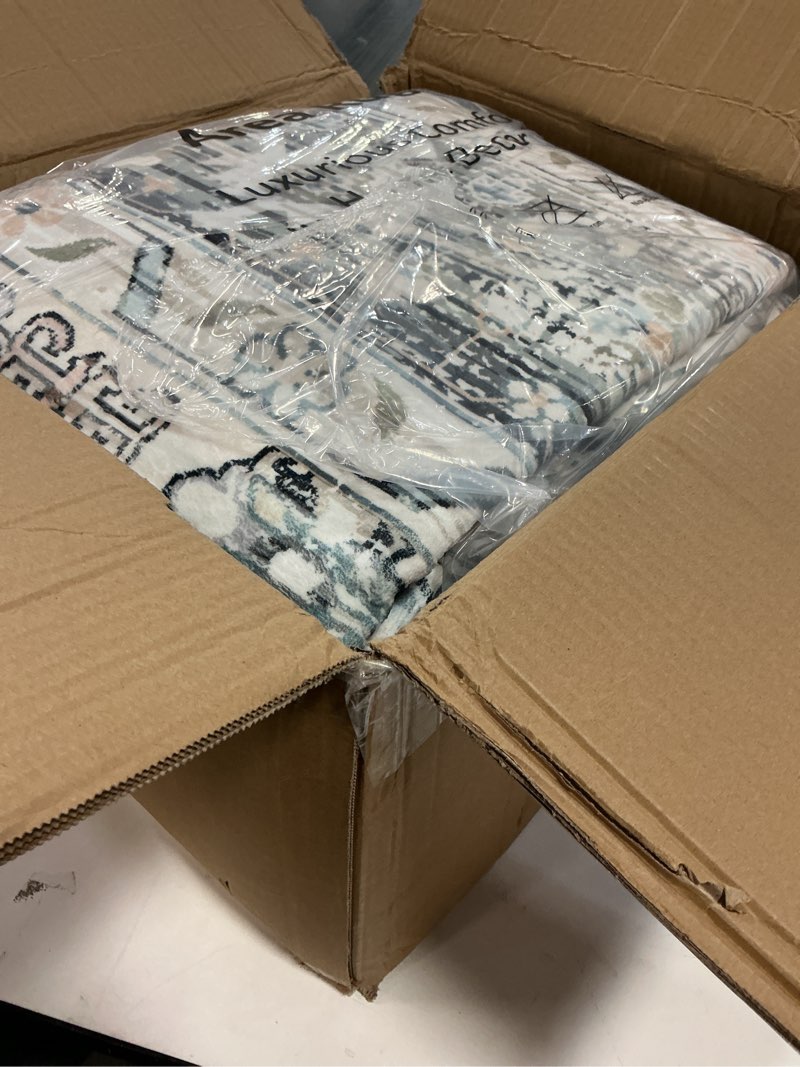 Condition photo showing Good Condition for Area Rug 9×12, Large Vintage Boho Rug,Ultra-Soft Low Pile, Washable, Non Slip,Stain Resistant, Printed Carpet for Living Room Bedrooms Playroom Office Kitchen, Light Blue Light Blue 9' x 12' (Rectangular)