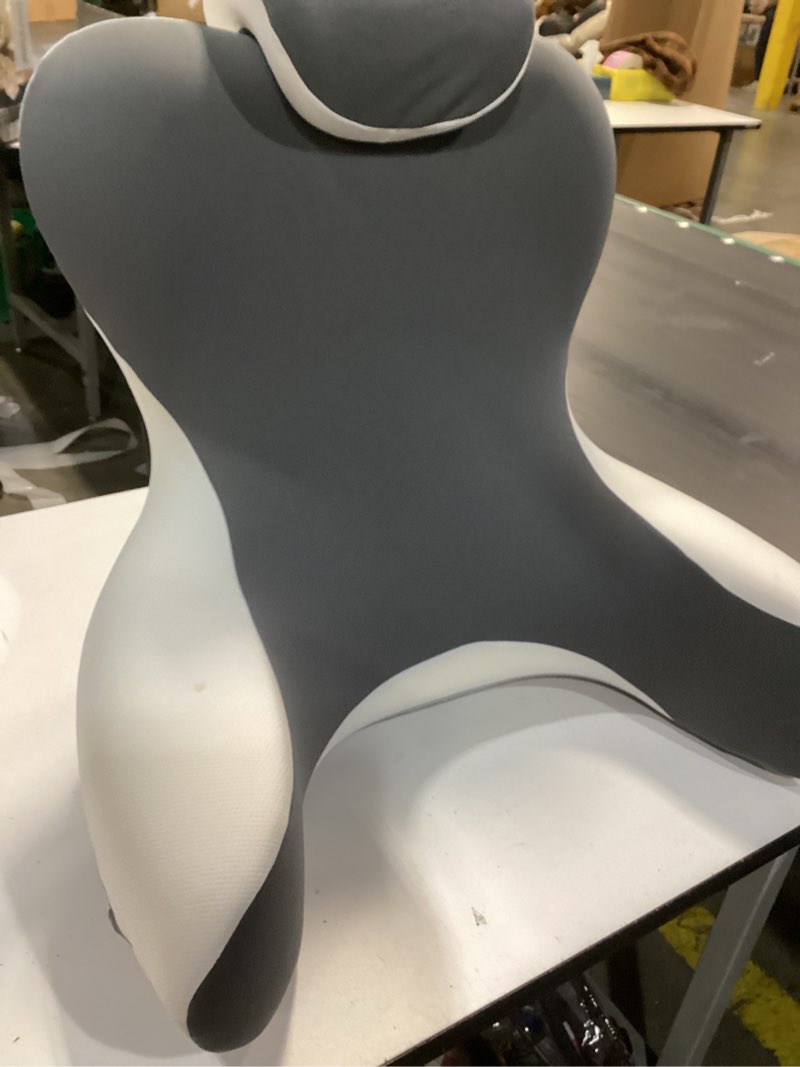 Condition photo showing Good Condition for lumbar support pillow designed to improve posture and relieve back pain (similar to stock photo)