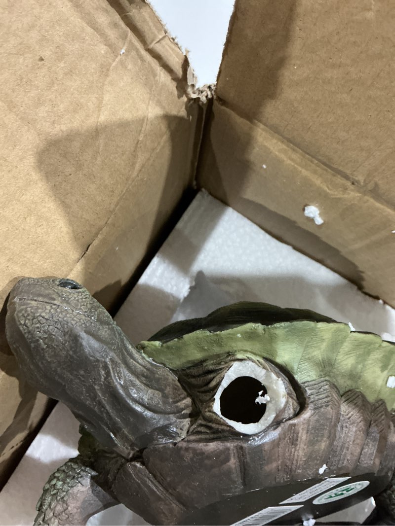 Condition photo showing As Is for bruken)))design toscano qm1887611 gilbert the box turtle garden decor animal statue