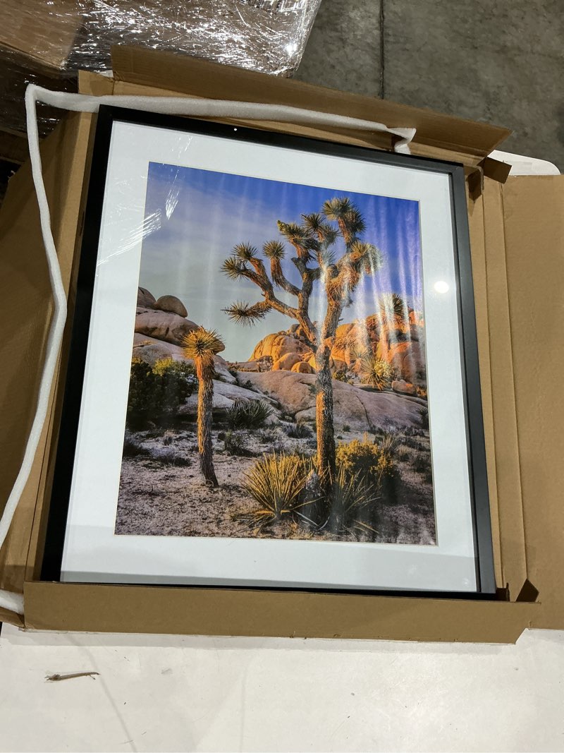 Condition photo showing Good Condition for art emotion 20x24 black solid wood handmade finishing seamless surface picture frame | real tempered glass | matted to 16x20 | fits 20x24 poster or 16x20 photo | wall mounting hardware included black 20x24 with 16x20 opening