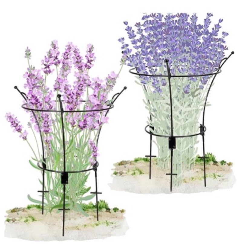 vicamb 1 pack metal peony plant support cage,32.2" h x 19.2" d grow through flower support with wide