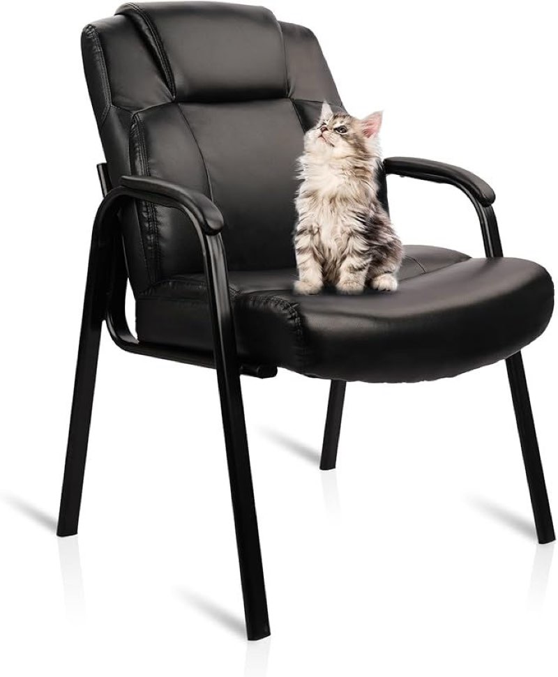 Clatina Lopez Big & Tall Guest Chair