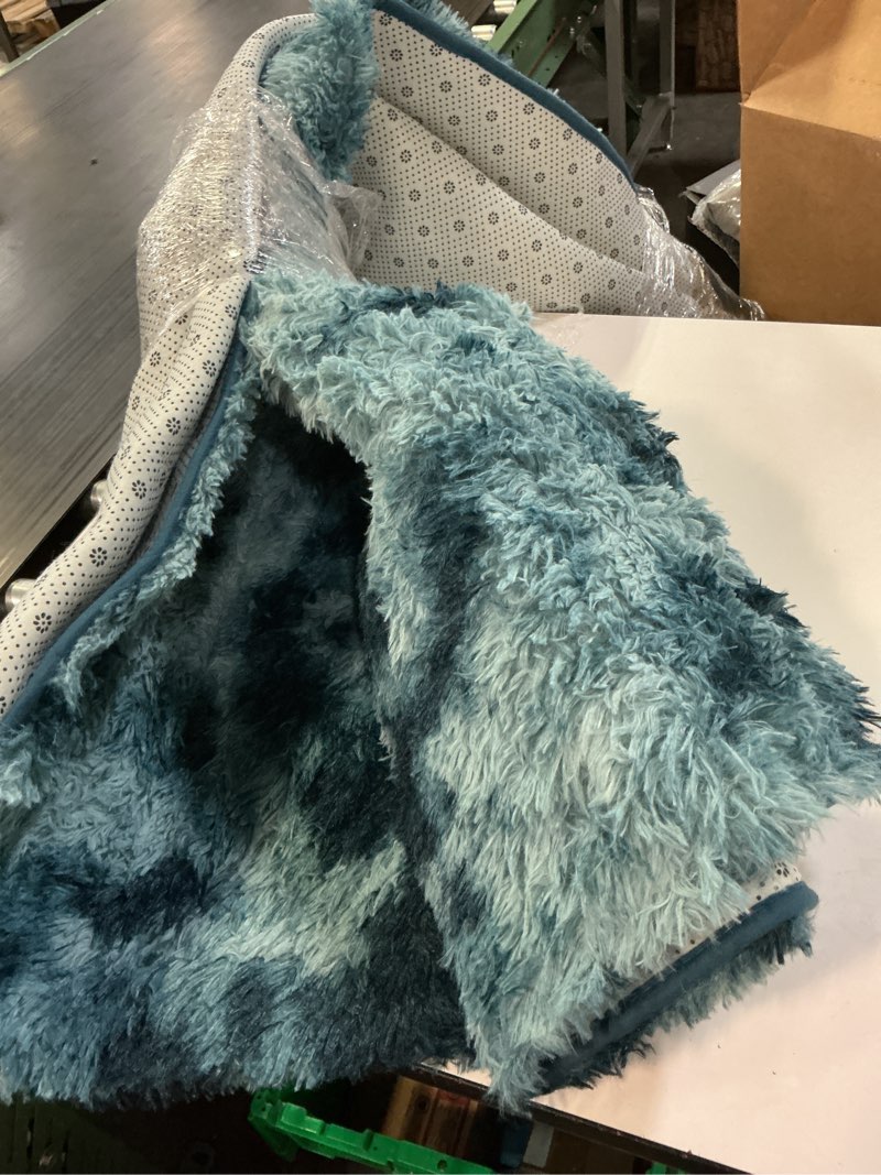 Condition photo showing As Is for safavieh rainbow jaki abstract shag area rug, blue