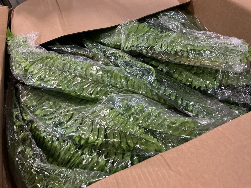 Condition photo showing Good Condition for 4pcs 45in fake ferns- outdoor faux plants, large uv resistant artificial ferns for outdoors, weatherproof faux boston fern realistic fake artificial plant for porch home garden patio hanging decor 4 pcs