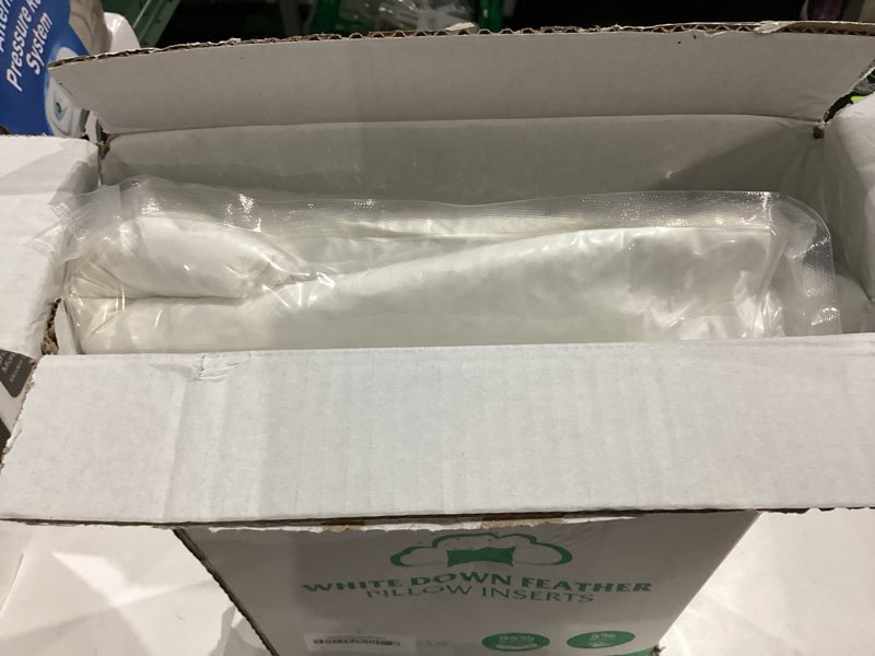 Condition photo showing Good Condition for Oubonun 20 x 20 Down Feather Throw Pillow Inserts - Fluffy and Plush Odor-Free Fill - 100% Breathable Cotton Fabric for Couch Sofa Bed, White, Pack of 2 2 20x20 Inch (Pack of 2)