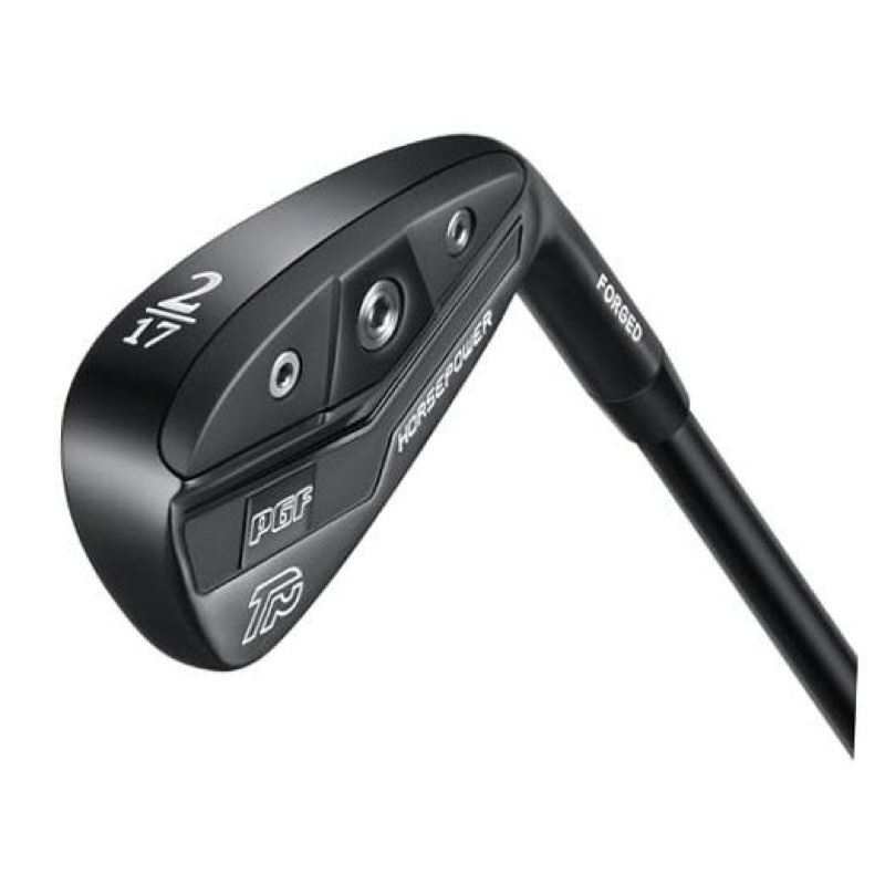 (Similar)PGF Gold TP Horsepower Pro Forged 9 Iron[Black] Regular Graphite Right