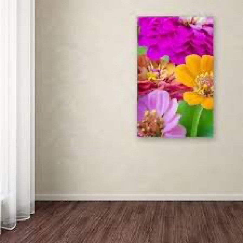 Trademark Fine Art Ramo de inias por Philippe Sainte-Laudy decoración de la Pared