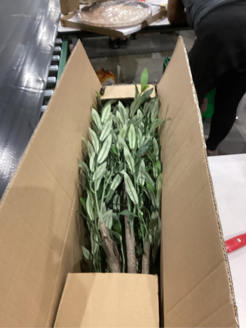Condition photo showing Good Condition for realead 6ft artificial olive tree, tall faux olive tree plants, fake potted olive silk tree with branches and fruits, artificial trees for modern home office living room floor decor indoor (72in)