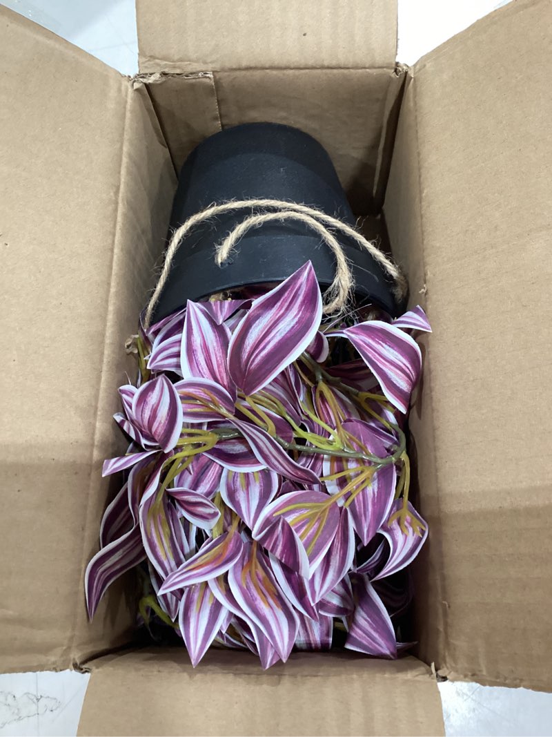 Condition photo showing Good Condition for briful fake hanging plants 17.7" faux watermelon peperomia silk plants with black pot artificial hanging greenery for home garden balcony front porch outdoor decor purple