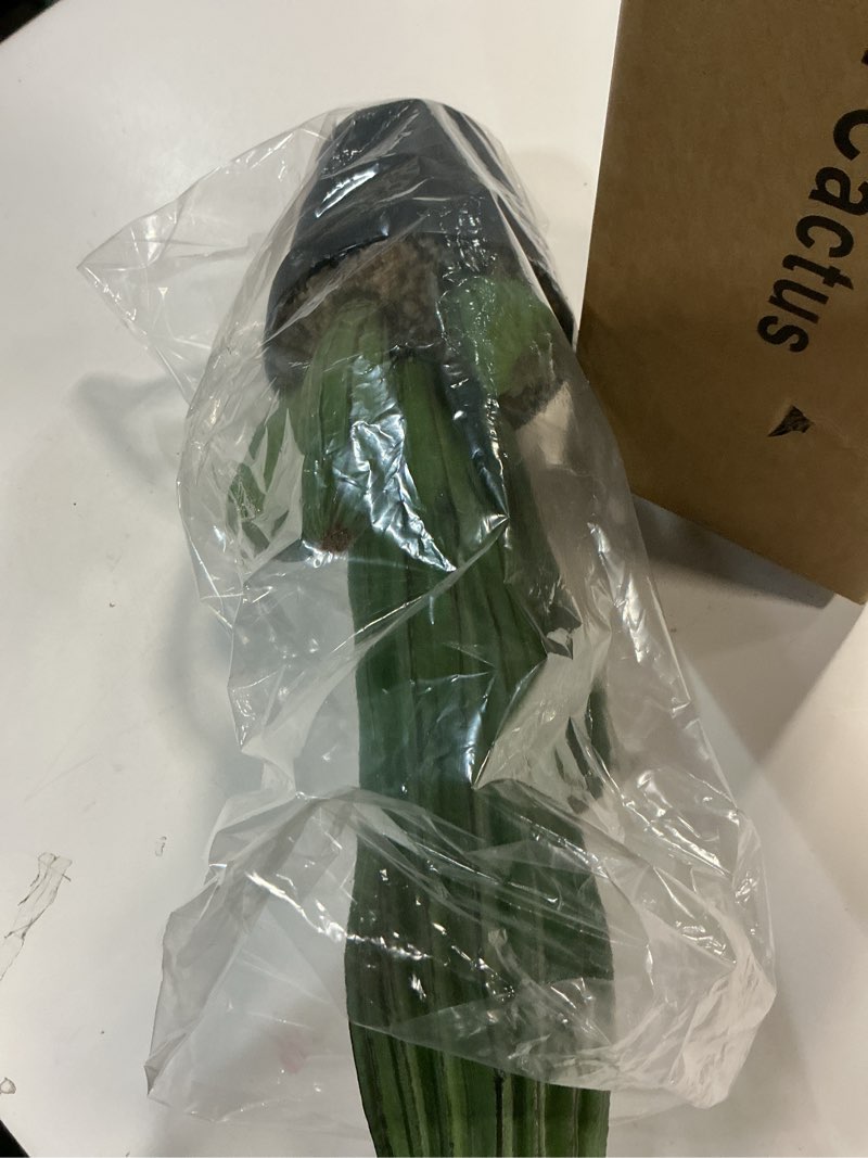 Condition photo showing Good Condition for Artificial Cactus Fake Cacti 16" Faux Potted Cactus Plants for Home Store Office Decoration 16 Inch