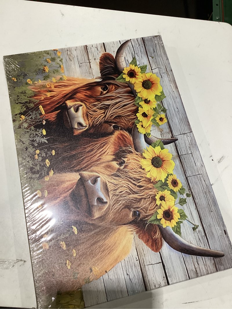 Condition photo showing Good Condition for highland cow canvas wall art farmhouse animal painting sunflower on cow head picture wood background poster artwork for bathroom home office decor framed - 16.00"x24.00" 24"l x 16"w a-two cow & sunflower