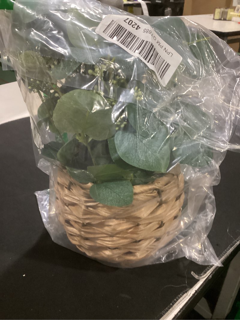 Condition photo showing Good Condition for dilatata artificial eucalyptus stems in woven basket planter, 11" fake plant eucalyptus leaves with white seeds faux potted plant greenery for table centerpiece office indoor home decor style#1