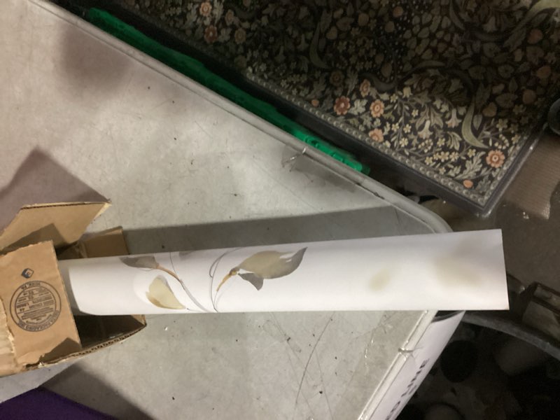 Condition photo showing New/Like New for York Wallcoverings Candice Olson PSW1424RL Soft Neutral Linden Flower Premium Peel and Stick Wallpaper