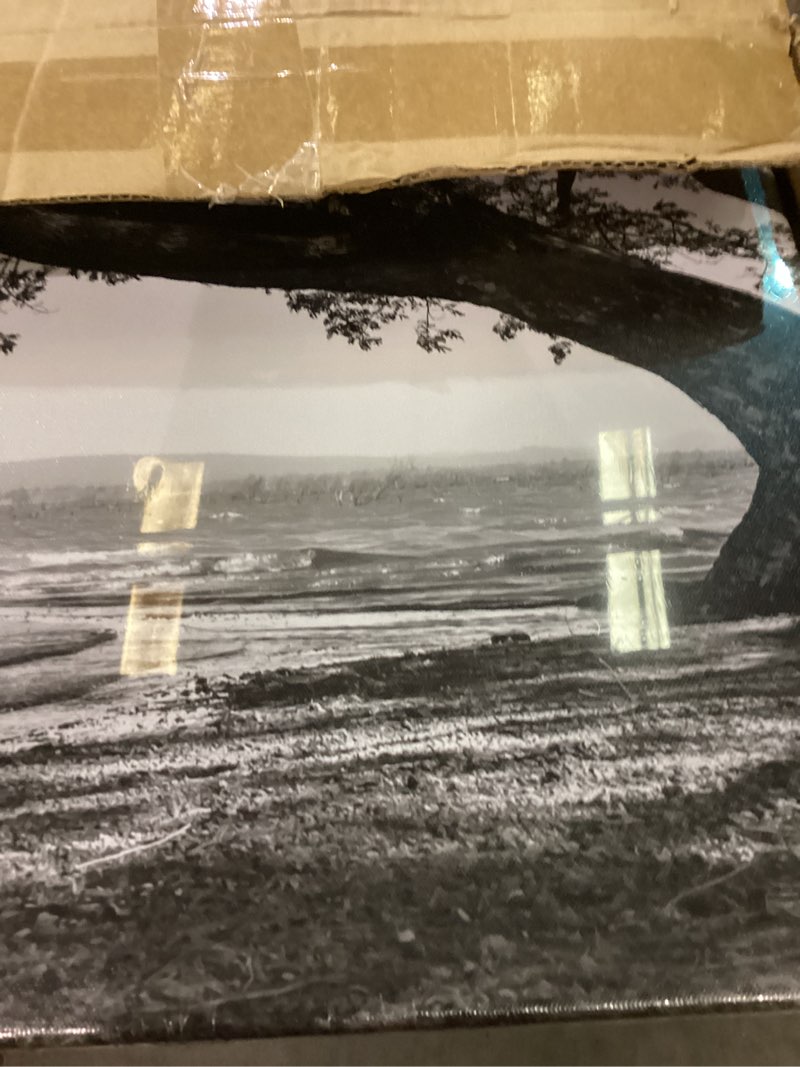 Condition photo showing Good Condition for Biuteawal 3 Piece Wall Art Black White Tree at Warm Sunrise Landscape Picture Photo Canvas Prints Nature Tree of Life Painting for Home Office Living Room Decor Stretched and Framed Ready to Hang