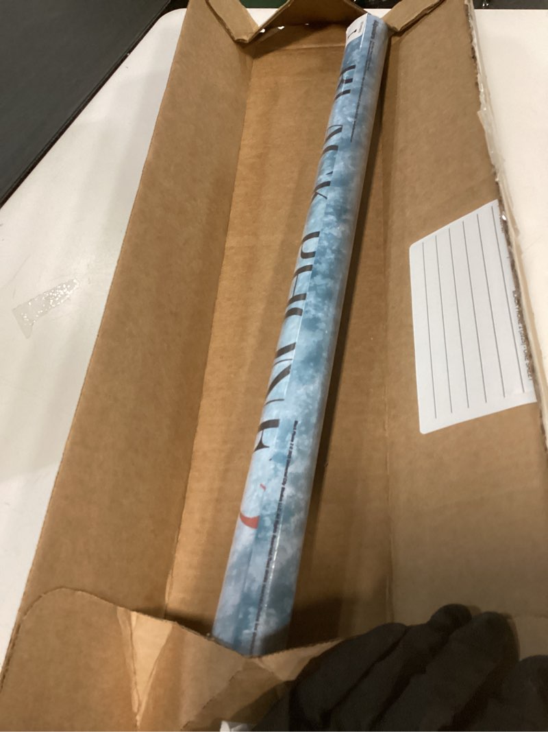 Condition photo showing Good Condition for Black Phone 2 (2025) - One Sheet Wall Poster, 34L" x 22.4W", Premium Unframed Version Premium Unframed Version 34"L x 22.4"W