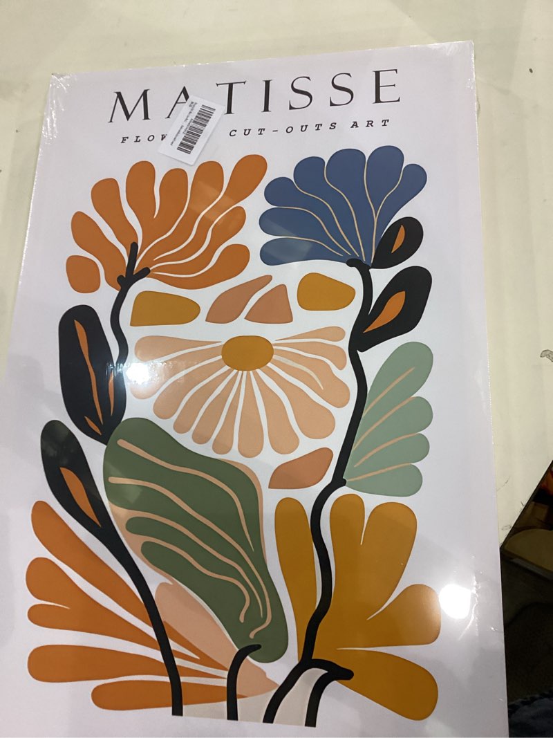 3pcs framed 16x24in matisse wall art canvas colorful boho flower posters abstract pictures minimalis