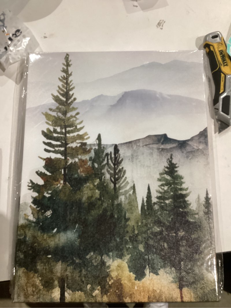 Condition photo showing New/Like New for mhartk66 wall art for living room modern wall decor for bedroom office decor abstract mountain forest landscapes ink painting 3 piece framed canvas art prints ready to hang wall pictures home decor 12x16inches*3pcs forest landscape painting