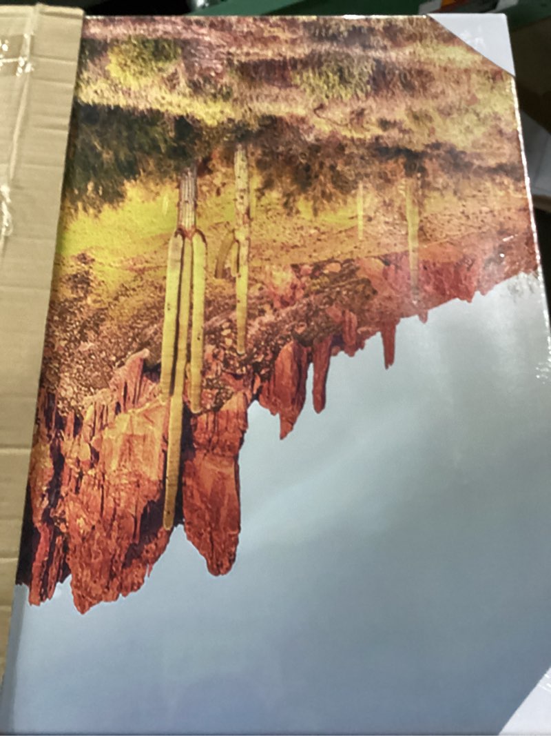 Condition photo showing New/Like New for yeilnm desert cactus artwork canvas wall art southwestern pictures superstition mountains print on canvas 24x48 inches