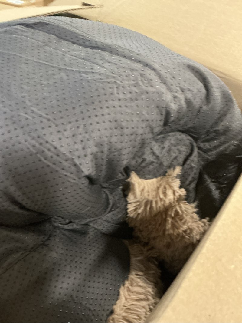 Condition photo showing As Is for Bedsure Calming Dog Bed for Extra Large Dogs - Donut Washable Large Pet Bed, 45 inches Anti-Slip Round Fluffy Plush Faux Fur Dog Bed, Fits up to 120 lbs Pets, Camel 45"L x 45"W x 10"Th Camel