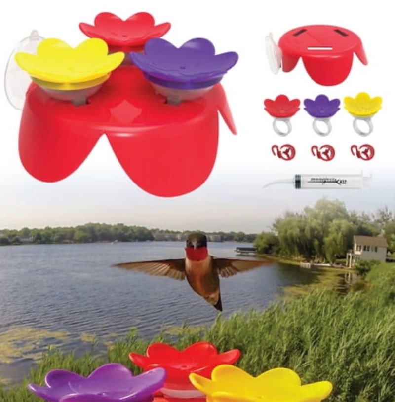 ZUMMR Hummingbird Ring Feeder Starter Kit The ZUMMR Hummingbird Ring Feeder Starter Kit provides everything you need to attract  train  and hand-feed these fascinating creatures. The kit includes a lightweight  BPA-free  and fade-resistant trainer that can be easily mounted to any window  along with three multicolor rings and a syringe for quick and easy nectar filling. Suitable for all ages  this set offers hours of fun and the opportunity to get up close and personal with the beautiful hummingbirds that visit your yard. The included instructions and  All About Hummingbirds  guide ensure a seamless and enjoyable experience for the whole family.