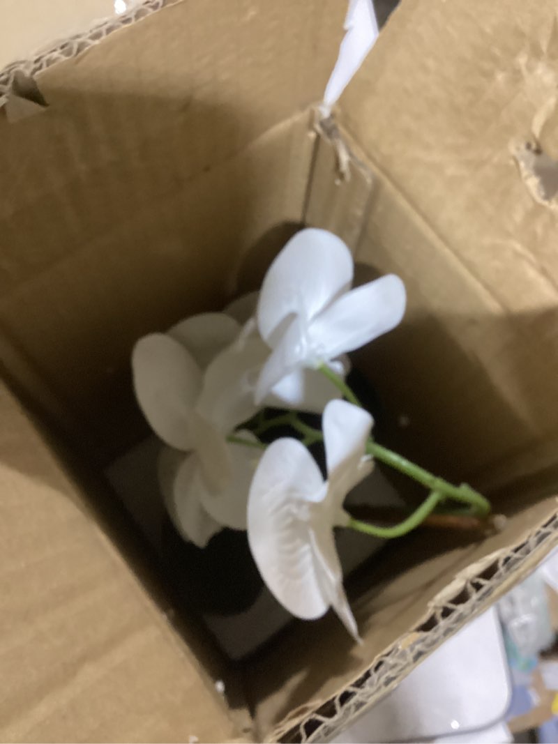 Condition photo showing New/Like New for Orchids Artificial Flowers, 15" Faux Orchid in Gold Flower Pot Real Touch Flowers in Pot Large Flower Arrangements Artificial Centerpiece for Home Living Room Bathroom Kitchen Decoration (White)