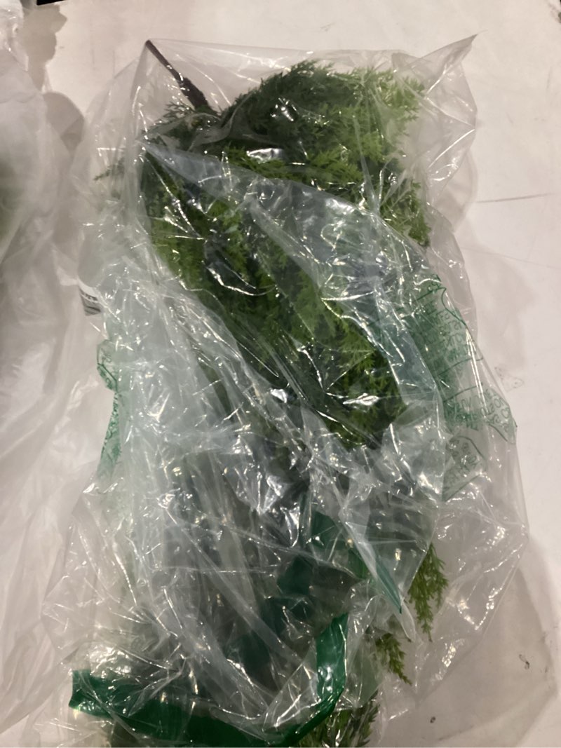 Condition photo showing As Is for fake tree branch