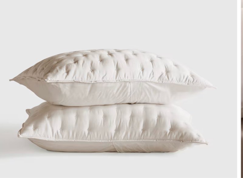 quince bamboo dream quilted sham set bamboo dream quilted sand king 