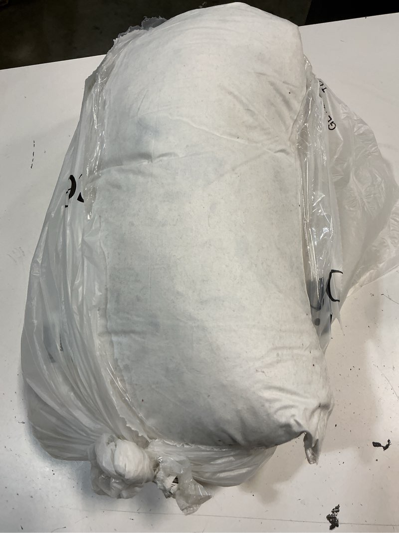 Condition photo showing As Is for quince premium feather pillow insert, 12x48, no color