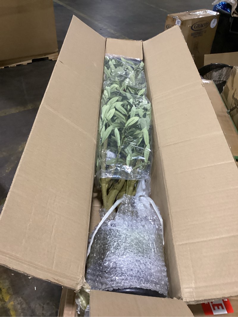 Condition photo showing Good Condition for GAOMON Artificial Olive Tree 6FT(72in) Tall Faux Silk Olive Trees with Backet for Home Office Living Room Decor Indoor Fake Potted Tree with Handmade Seagrass Basket and Lifelike Fruits 6 Ft Olive Tree With Basket 1