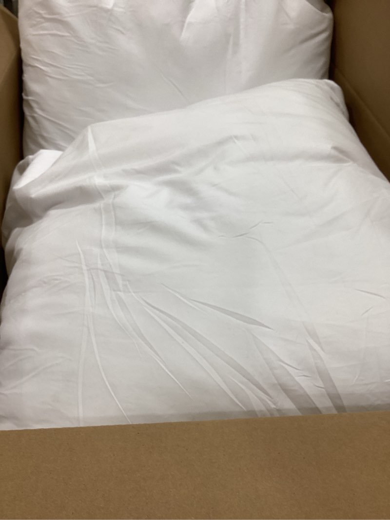Condition photo showing As Is for 2 pillow