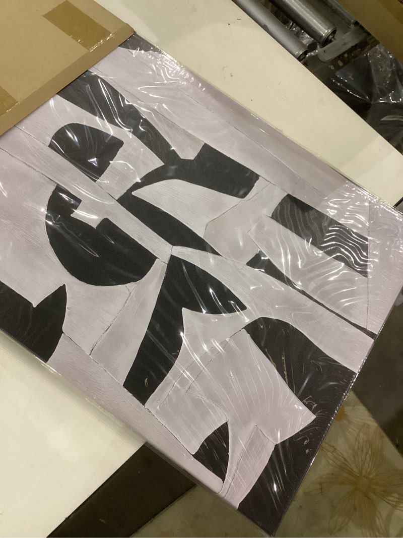 Condition photo showing Good Condition for Framed Geometric Wall Art Black and White Abstract Canvas Wall Decor Simple Color Blocks Pictures Pr