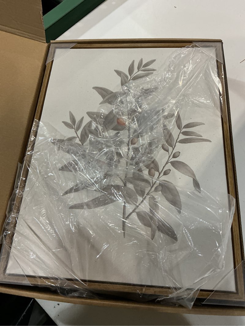 Condition photo showing Good Condition for 3 piece vintage botanical canvas wall art framed neutral wall decor | farmhouse country canvas print sage green leaves plants floral painting for living room bedroom office kitchen 12x16 inch vintage botanica framed 12x16in