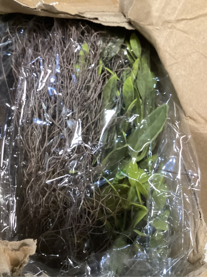 Condition photo showing Good Condition for 28'' large boxwood wreath for front door porch window artificial boxwood leaves with white seed greenery outdoor indoor wreath for home farmhouse wall decor spring summer fall all seasons (green) 28in