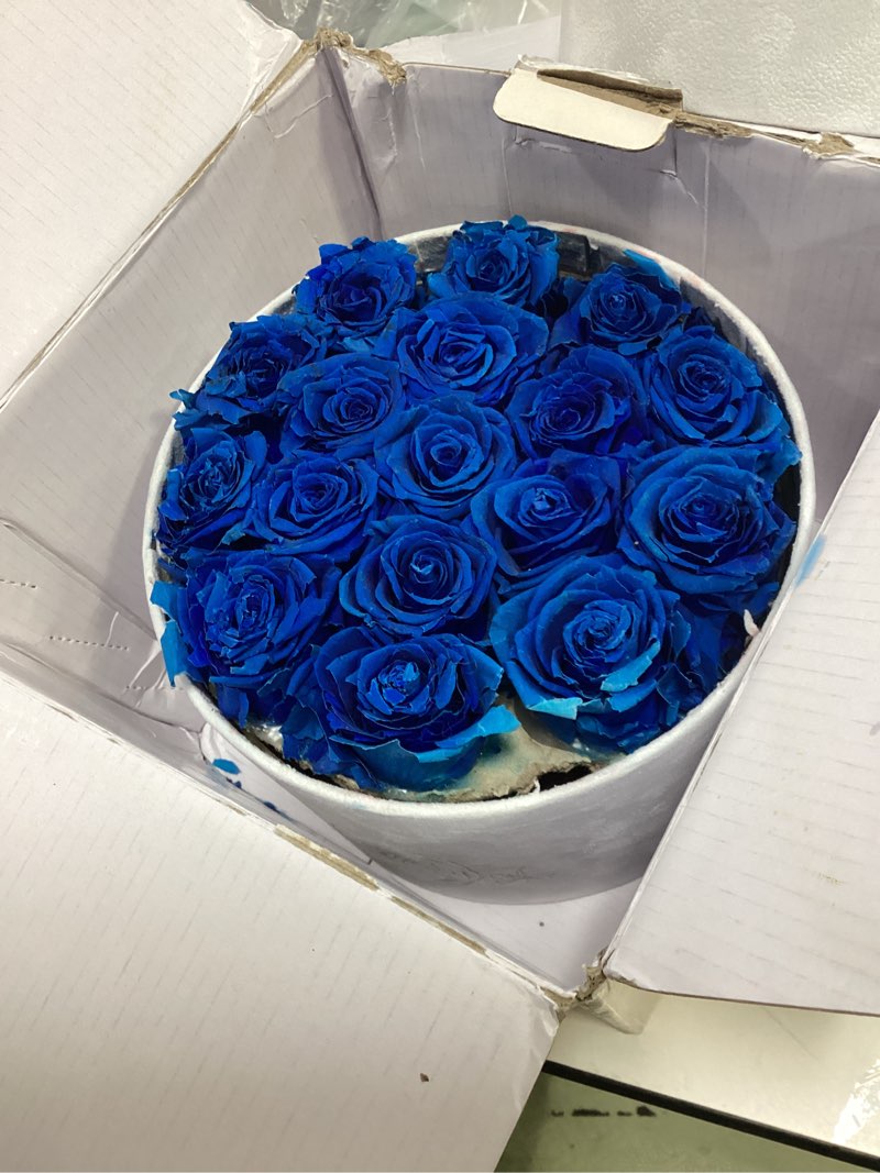 Condition photo showing As Is for prifroti 17 flowers in a luxury suede box, birthday gifts for women, preserved flowers, mothers day roses gift for mom, royal blue royal blue 17 roses