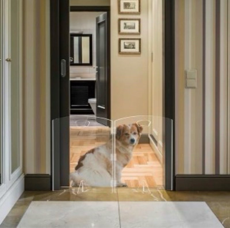 clear freestanding dog gate for indoor use,pet gates for doorways no drilling,acrylic foldable dog g
