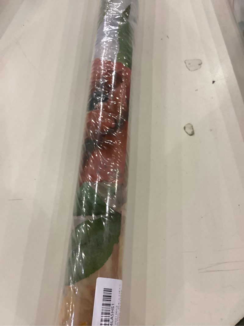 Condition photo showing Good Condition for DKTIE Window Film Decorative Nature Easy Apply Come with Tools Creative Horizontal Pattern Design Frosted Glass 2 Way Privacy Window Film (U612, 17.7in X 78.7in) U612 17.7in X 78.7in