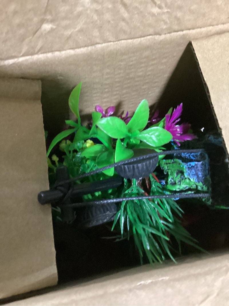 Condition photo showing Good Condition for frienda 8 pieces glowing effect fish tank decorations artificial plants with 2 style glowing kelp, sea anemone, simulation coral, jellyfish, lotus leaf, mushroom for aquarium ornament(yellow, pink)