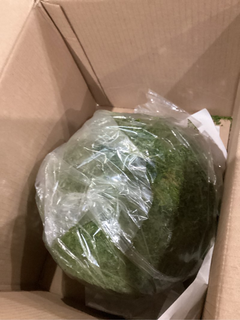 Condition photo showing As Is for SuperMoss (21775) Preserved Moss Ball – Natural Green Decor for Home, Weddings & Events – Vase Fillers & Centerpieces, 12”, Fresh Green