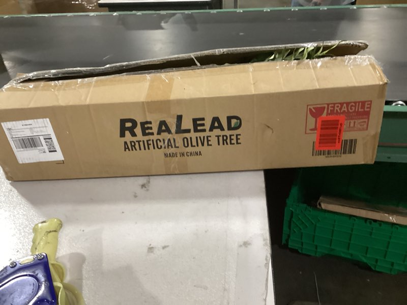 Condition photo showing As Is for Realead Artificial Olive Tree 5FT - Realistic Faux Olive Tree Plants with Thick Trunk and Lifelike Fruits - Large Fake Olive Trees for Home Office Living Room Floor Decor Indoor