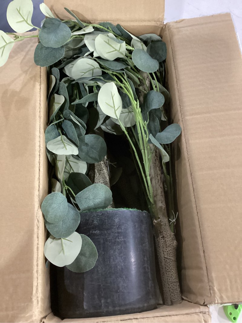 Condition photo showing Good Condition for 6ft artificial eucalyptus tree indoor fake tree tall fake eucalyptus plant large lifelike green faux tree for home office living room bedroom corner decor 5ft 11in