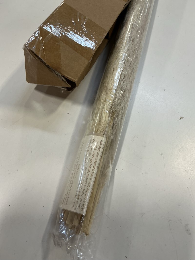 Condition photo showing Good Condition for Tall Pampas Grass 10PCS Boho Decor Natural Home Decor Phragmites Dried Flowers Bouquet for Wedding Floral Arrangements Home Decorations (10PCS Tall Pampas Grass)