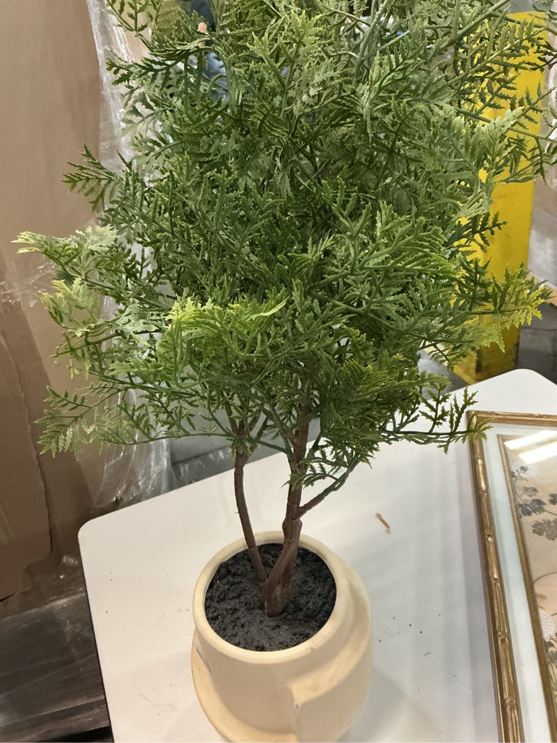 Condition photo showing As Is for luxe mini tree in geometric pot - threshold™