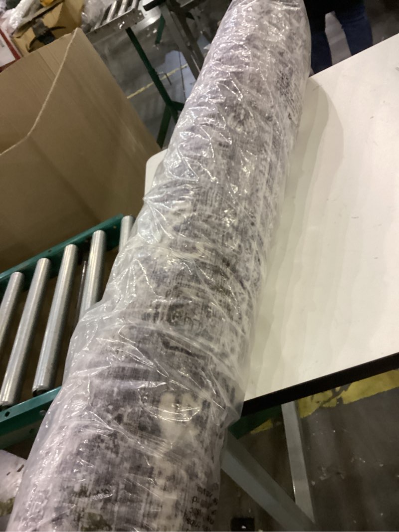 Condition photo showing Good Condition for Area rug